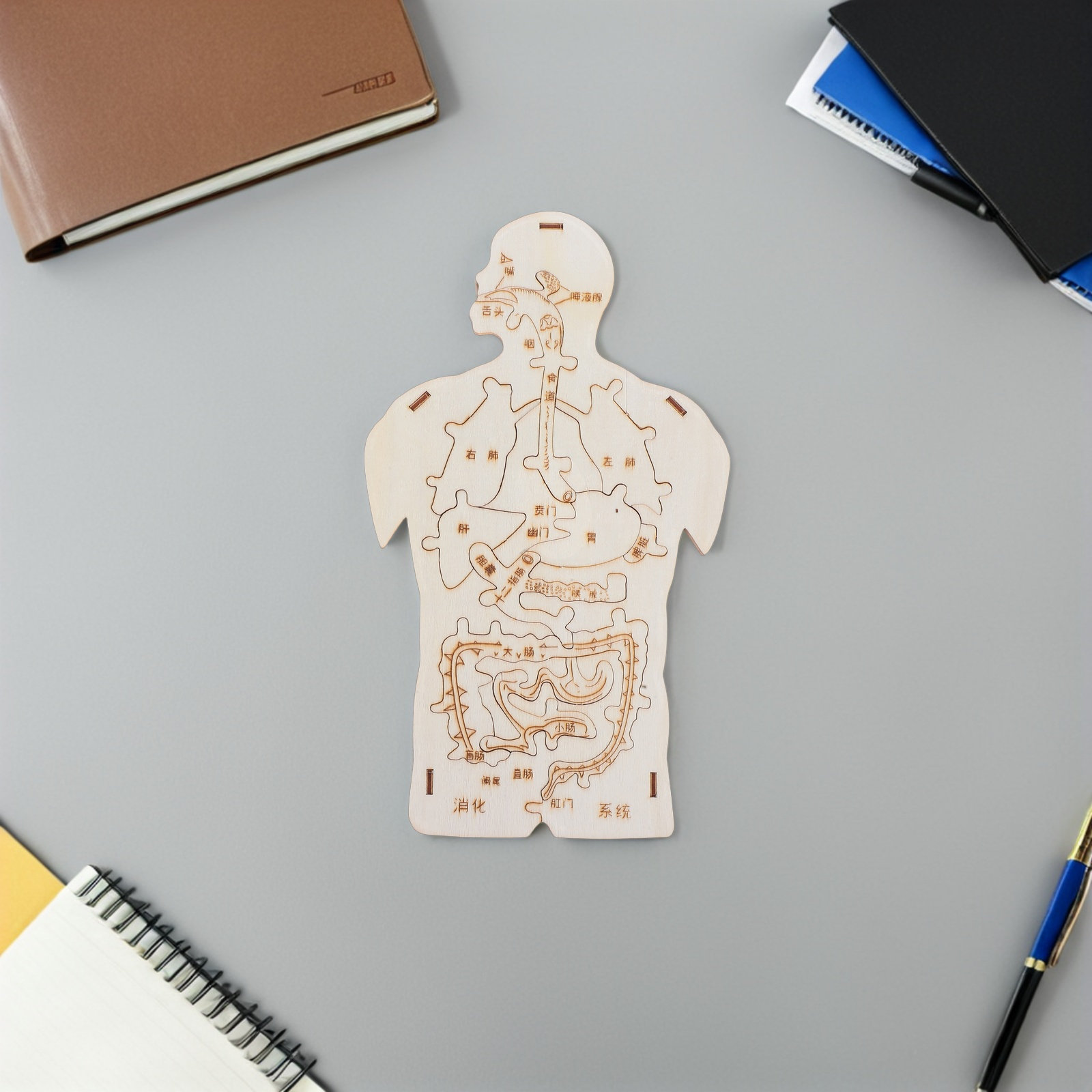 Набор из 3 деревянных пазлов « – обзор и цена Human Body Puzzle