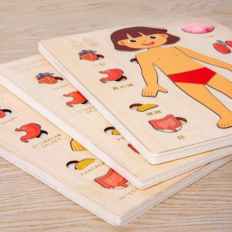 Пазлы Монтессори, занятая доск – обзор и цена Human Body Puzzle