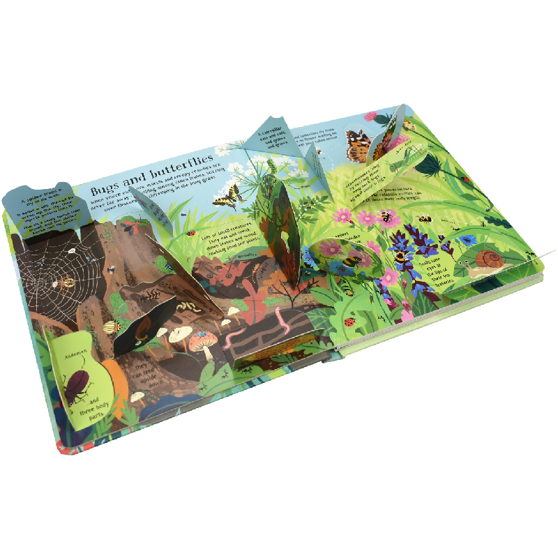 Английская Монтессори 3D Usbor – обзор и цена Kids Nature Education