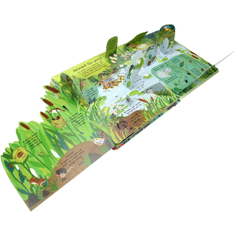 Английская Монтессори 3D Usbor – обзор и цена Kids Nature Education