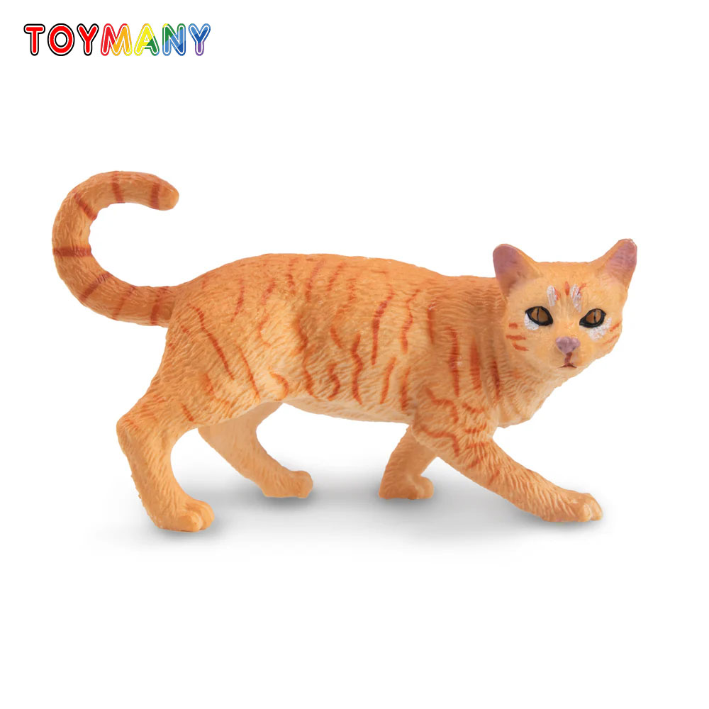 Toymany Моделирование Striding – обзор и цена Kids Education Yes