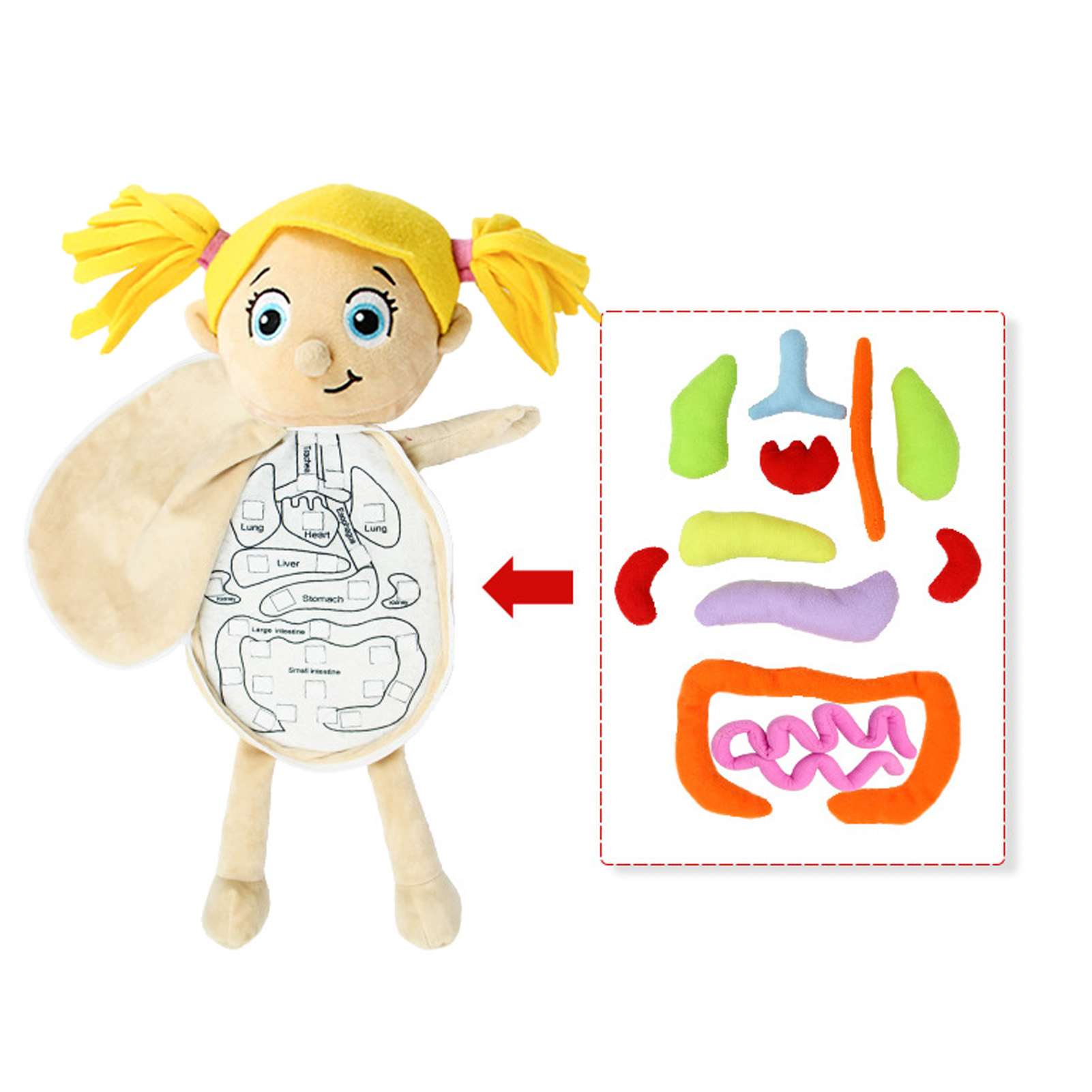 Детские игрушки Монтессори, 3D – обзор и цена Human Body Puzzle